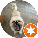 Profilbild von „Rbg Bianca“